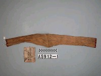 藏品(樹皮帶)的圖片